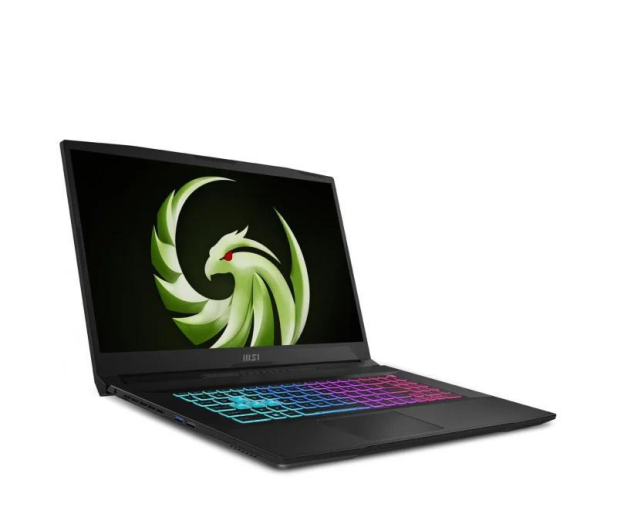 MSI Bravo 17 Ryzen 5/16GB/512/Win11X RTX4050 - 1273565 - zdjęcie 2